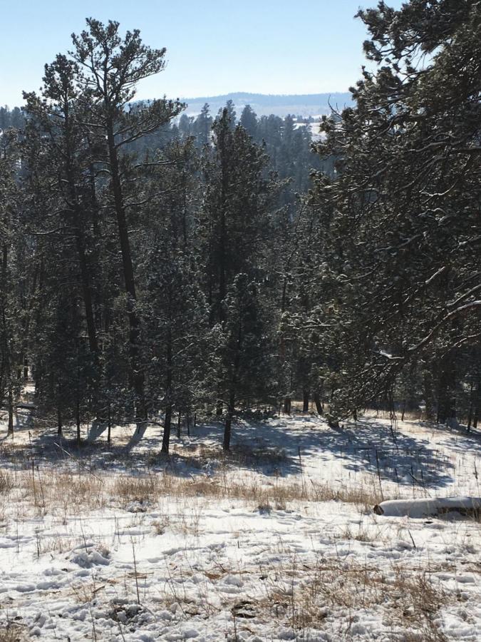 Priceless Black Hills View Rapid City Luaran gambar