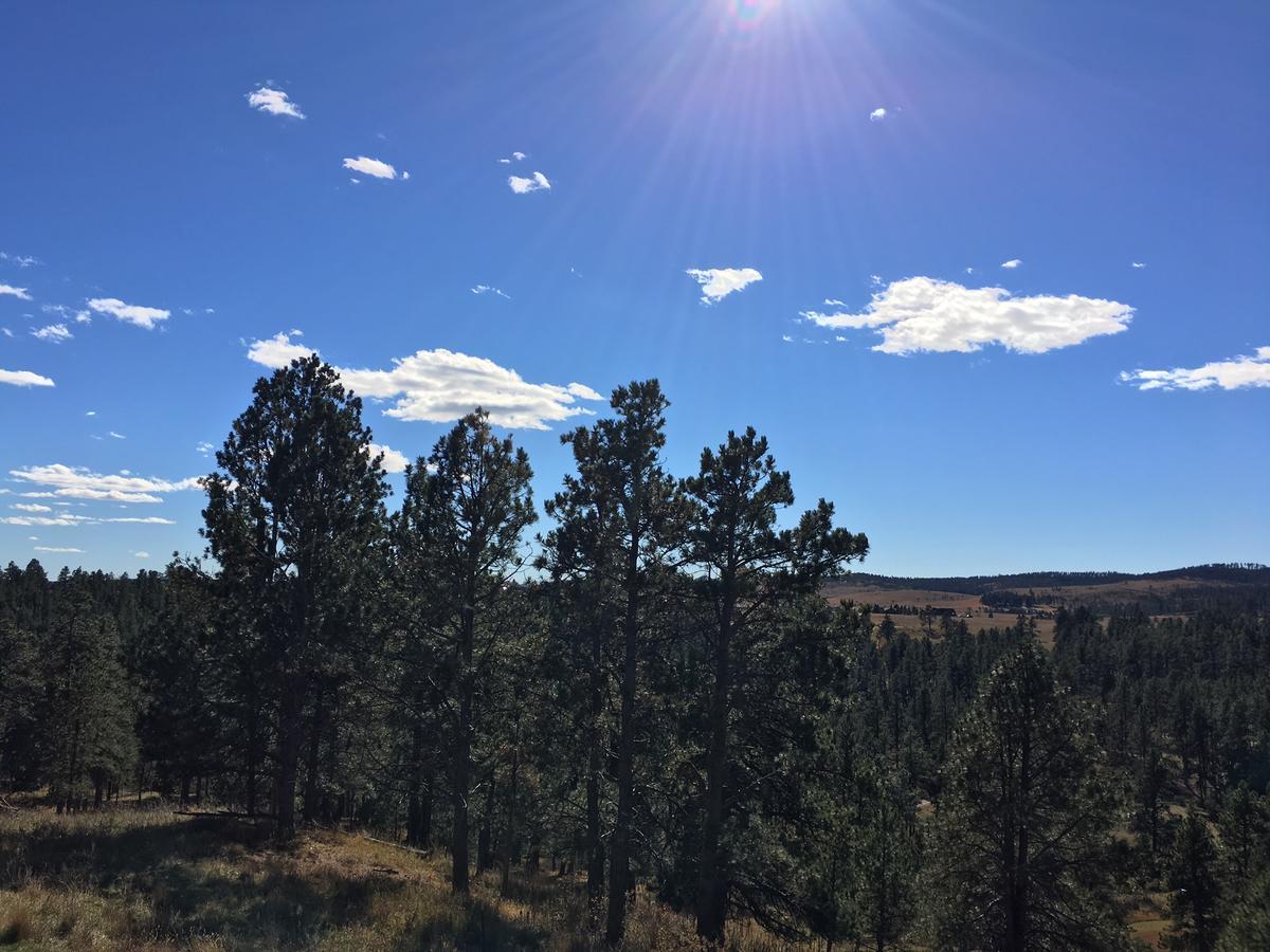 Priceless Black Hills View Rapid City Luaran gambar